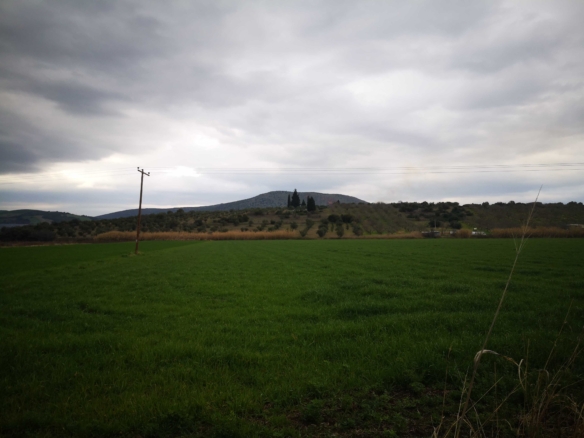Αγροτεμάχιο ποτιστικό Λιβαδειά Βοιωτίας