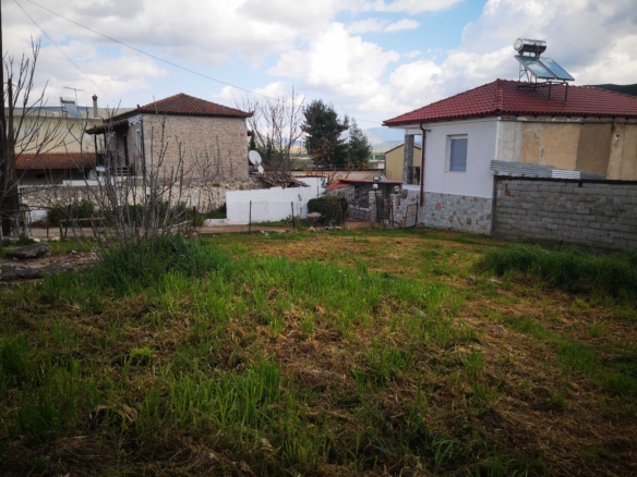 κεντρικό οικόπεδο Ανθοχώρι Βοιωτίας