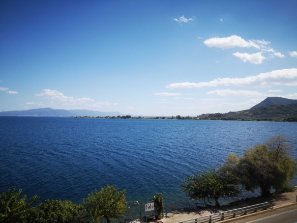 πώληση παραθαλάσσιων εξοχικών διαμερισμάτων στον Άγιο Κωνσταντίνο Φθιώτιδας