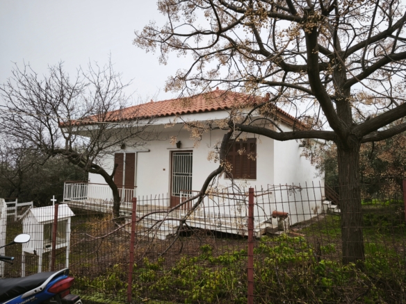 Πώληση μονοκατοικίας με κήπο στο Λαφύστι Βοιωτίας