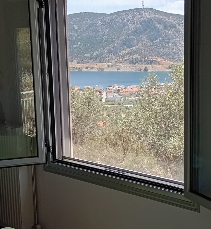 Μονοκατοικία 75 στην Αντίκυρα με 4 στέμματα οικόπεδο