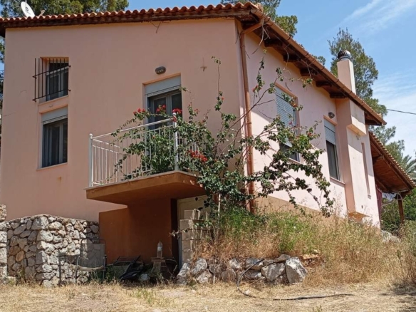 Μονοκατοικία 75 στην Αντίκυρα με 4 στέμματα οικόπεδο