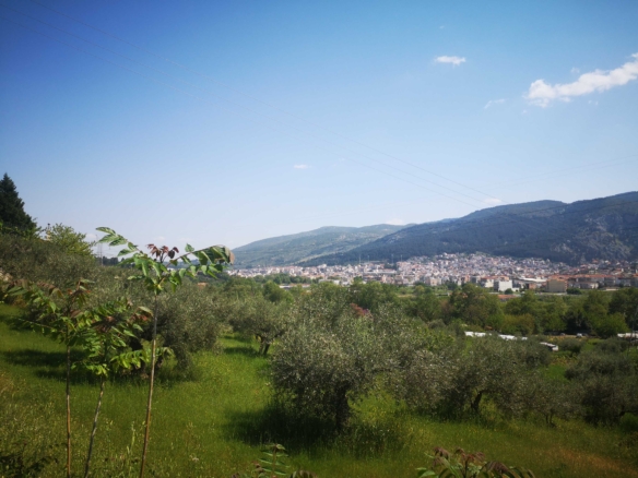Πώληση οικοπέδου Πέρα Χωριό Λιβαδειάς