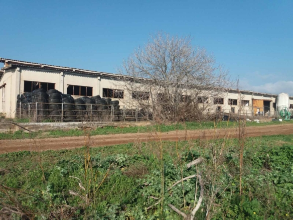 Πωλούνται 2000 τμ στεγασμένοι χώροι σε έκταση 100 στρεμμάτων στο Ύπατο