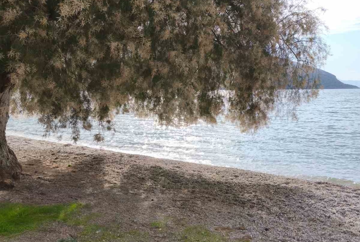 Πωλείται Παραθαλάσσια Διώροφη Μονοκατοικία στην Παραλία Σαράντη Βοιωτίας