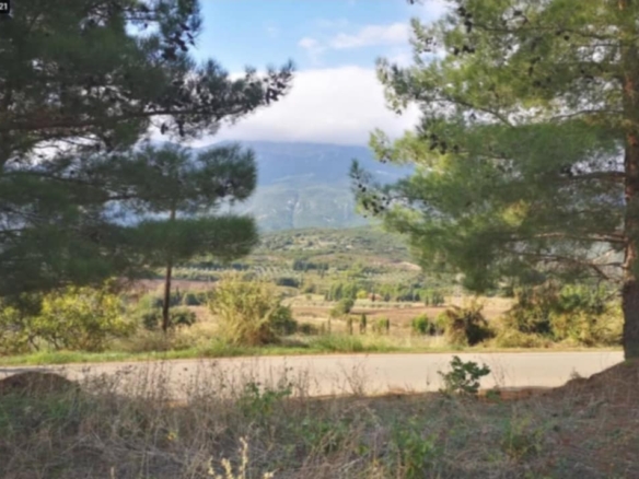 Oικόπεδο έκτασης 4.700 τ.μ