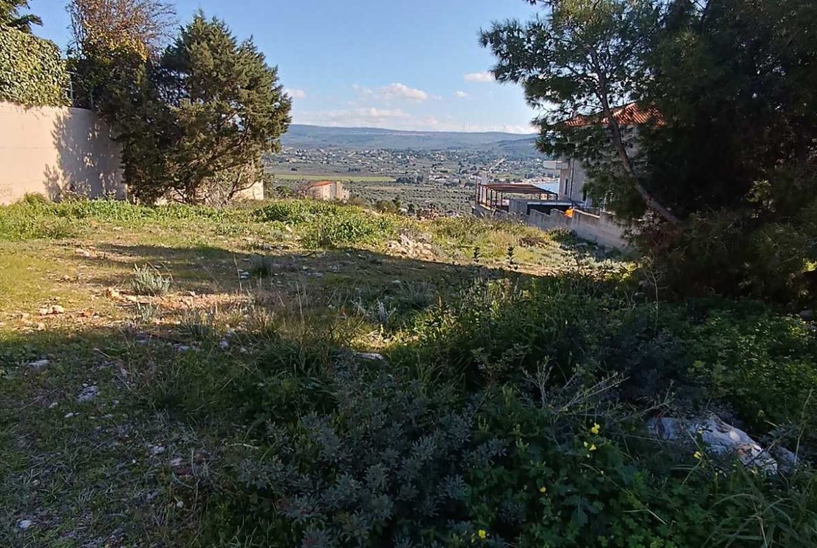 Πωλείται οικόπεδο 1.067 στο Θεολόγο Φθιώτιδας