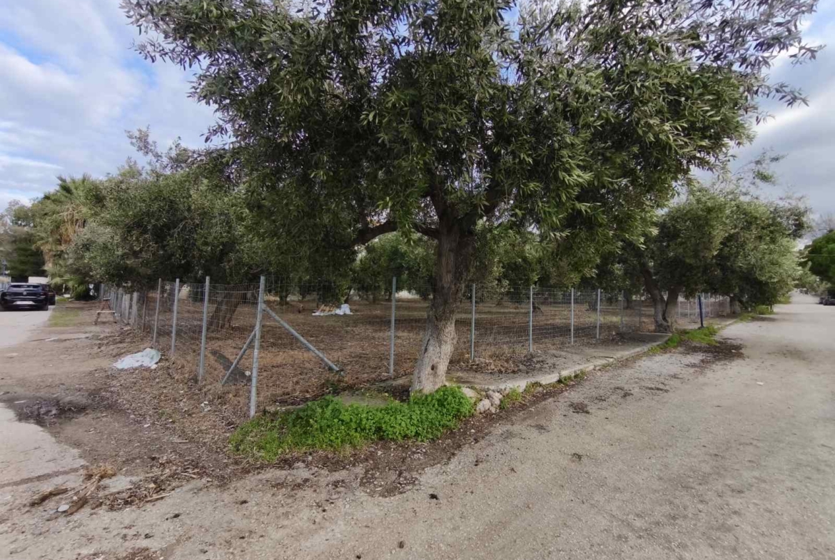 Πωλείται παραθαλάσσιο οικόπεδο 1.000 τμ στον οικισμό Κέδρος Αρκίτσας Ν. Φθιώτιδος