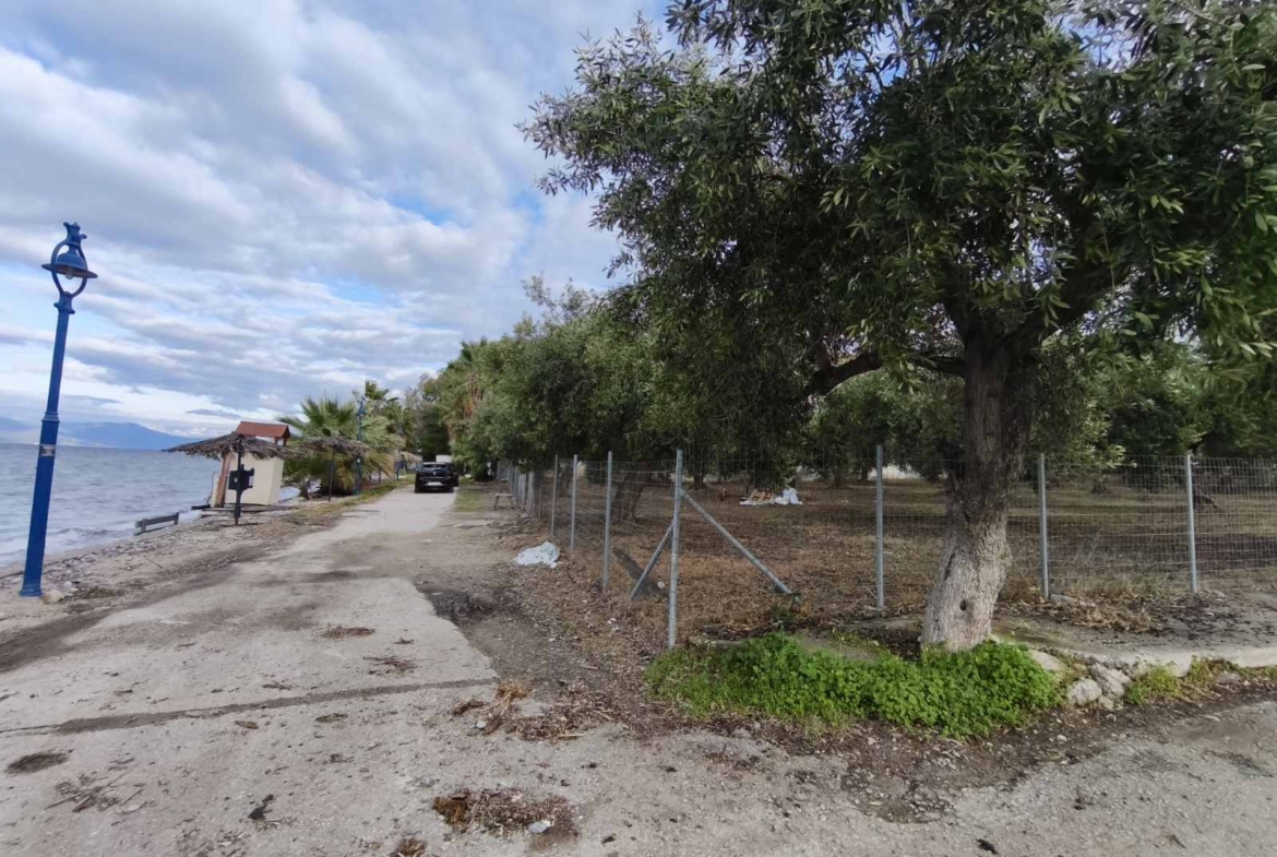 Πωλείται παραθαλάσσιο οικόπεδο 1.000 τμ στον οικισμό Κέδρος Αρκίτσας Ν. Φθιώτιδος