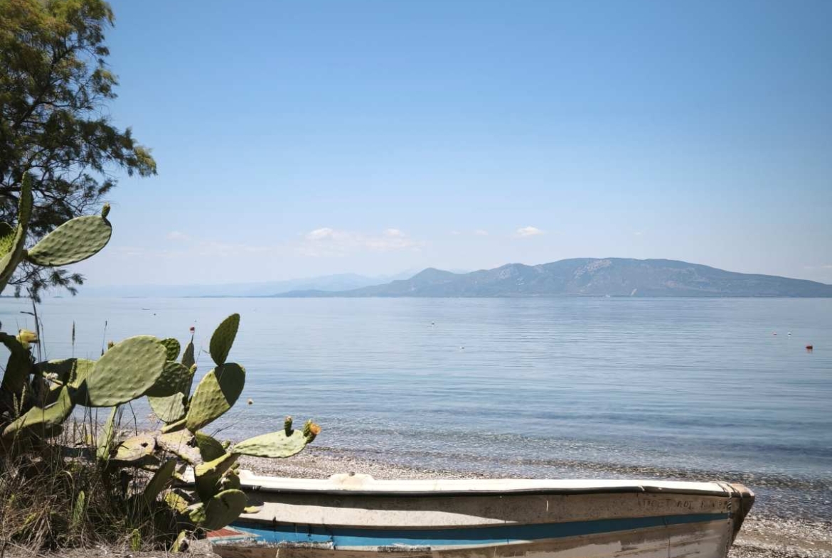 Πωλείται παραθαλάσσιο οικόπεδο 1.000 τμ στον οικισμό Κέδρος Αρκίτσας Ν. Φθιώτιδος