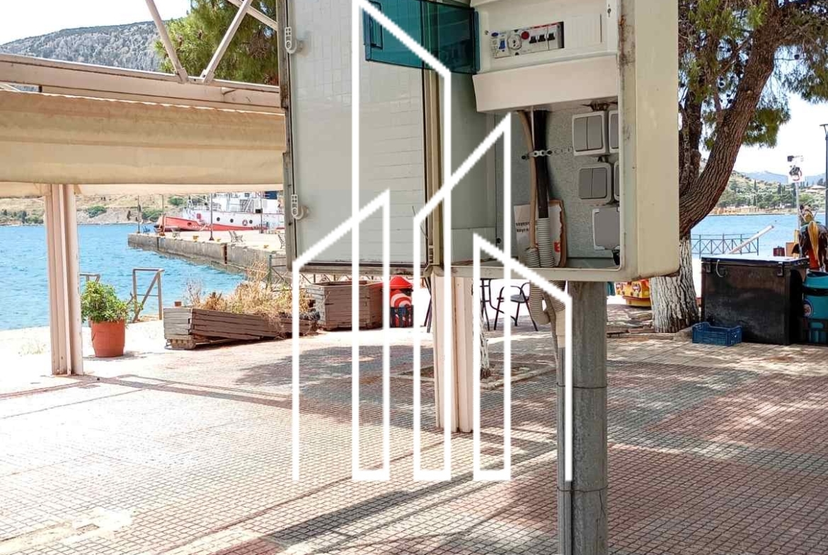 Ενοικιάζεται ισόγειο κατάστημα 90 τμ στην Αντίκυρα Βοιωτίας.