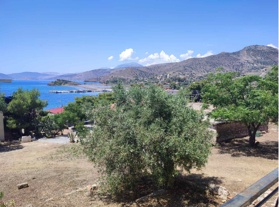 Πωλείται παραθαλάσιο οικόπεδο στην Αλυκή Βοιωτίας