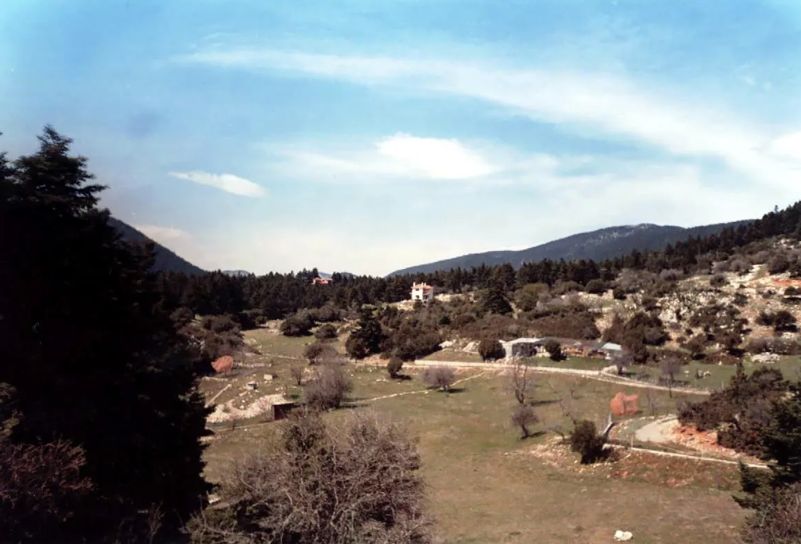 Πωλείται οικόπεδο 7.300 τ.μ. με οικοδομική άδεια & ημιτελή μεζονέτα στην Αράχωβα – Λιβάδι