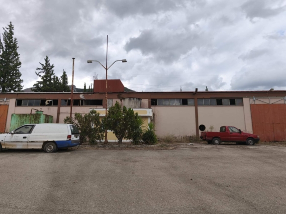 Πωλείται επαγγελματικό κτίριο στην Αλίαρτο Βοιωτίας.